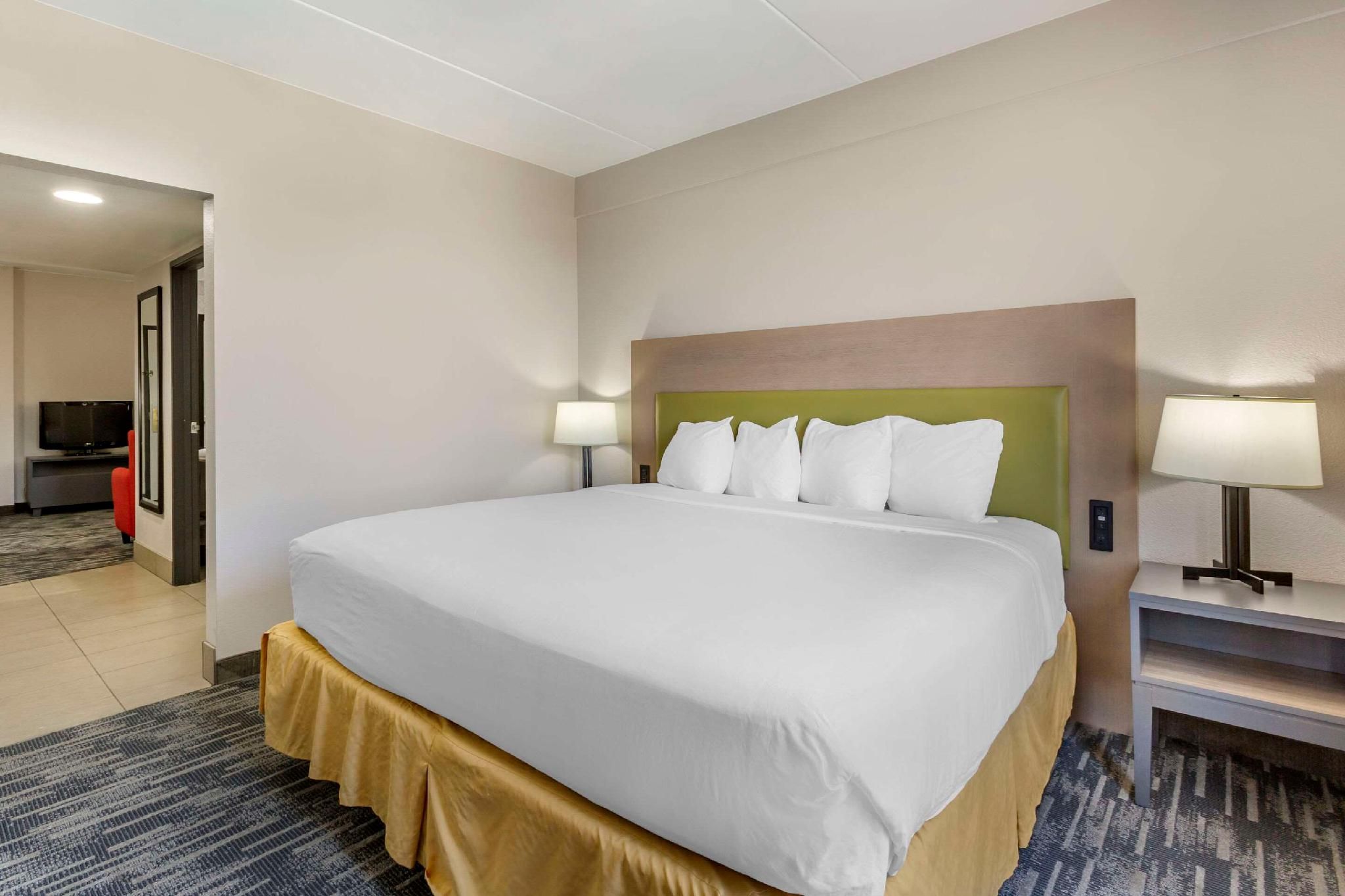 1 King Bed, Suite, Nonsmoking, Accessible