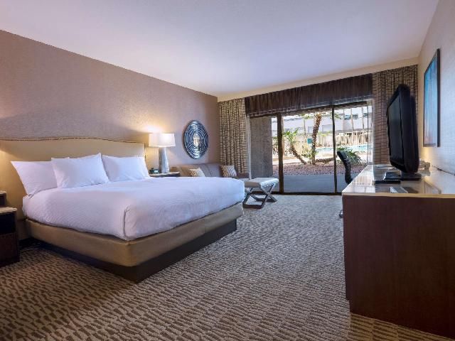 1 King Junior Suite