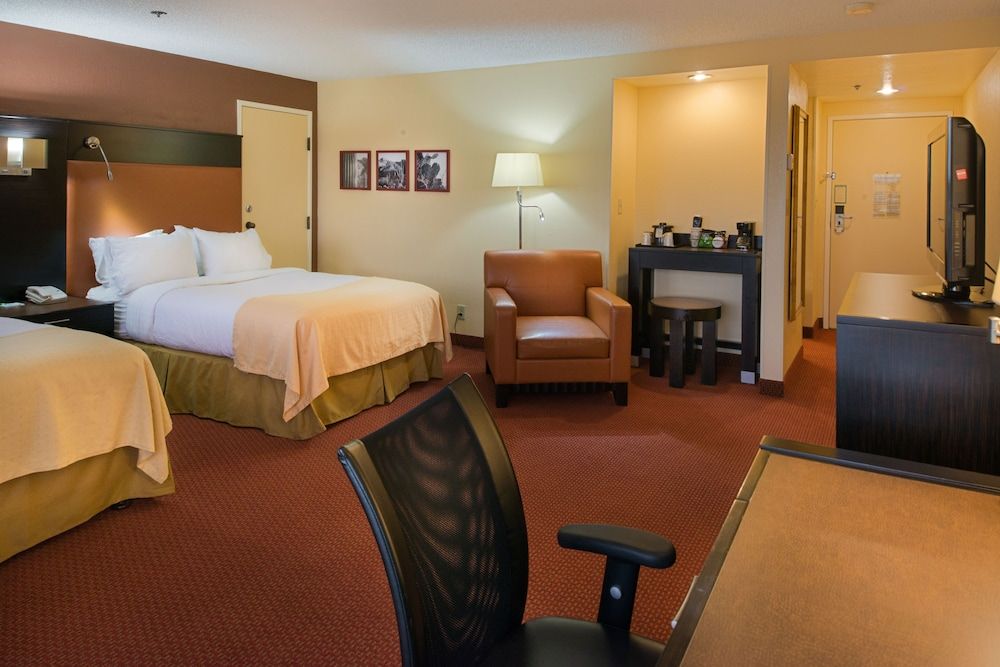 GreenTree Hotel Phoenix West Standard One King 2