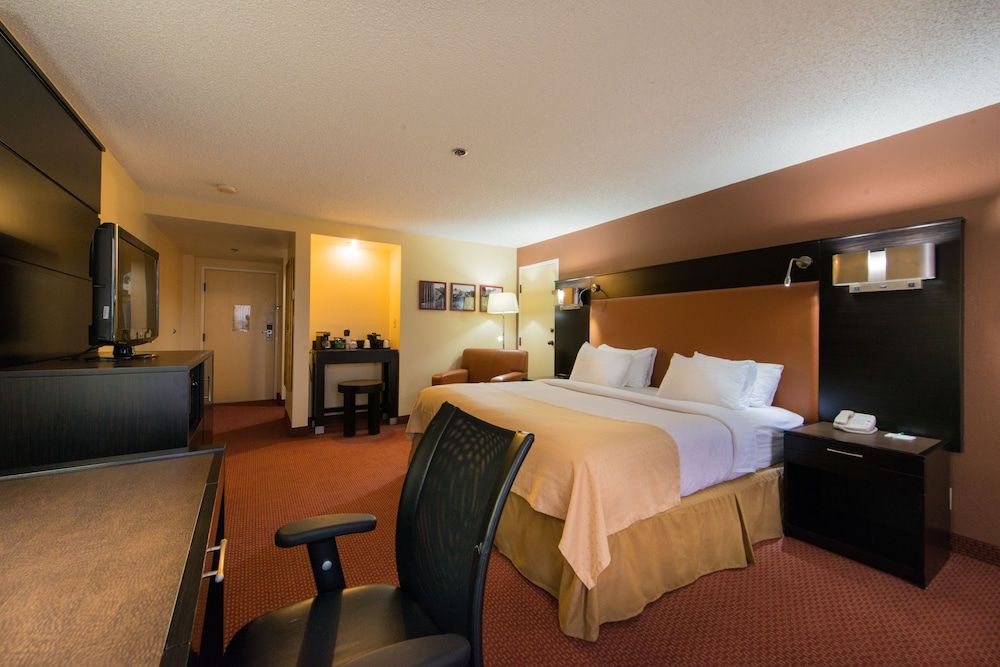 GreenTree Hotel Phoenix West Standard One King 3