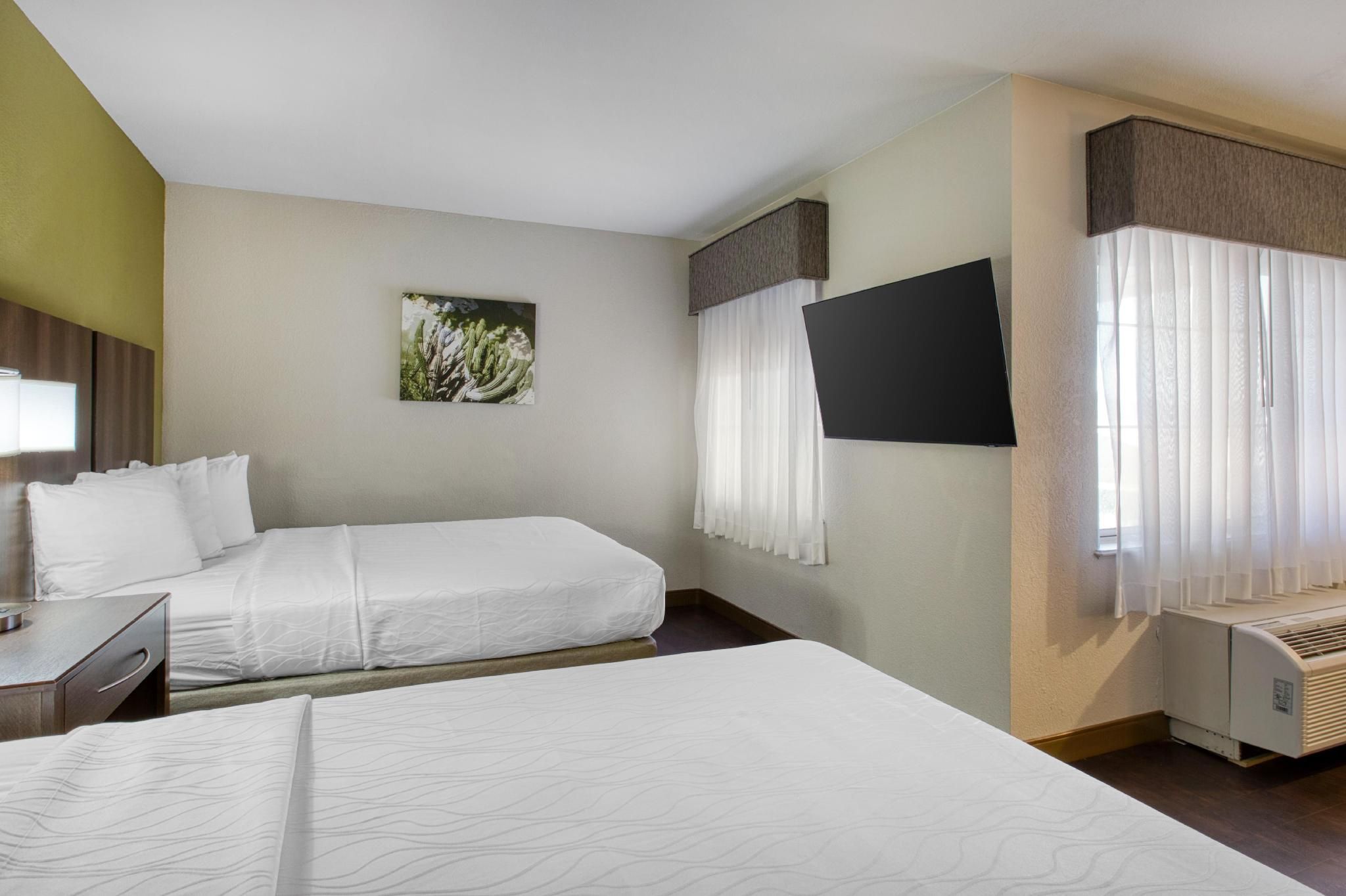 Accessibility - 2 Queens, Roll-in Shower, Pet Friendly Room, Nonsmoking