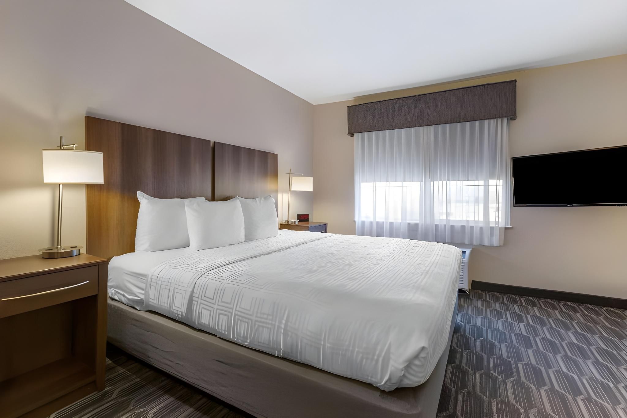 1 King Bed, Nonsmoking, Sofabed, Pet Friendly Room