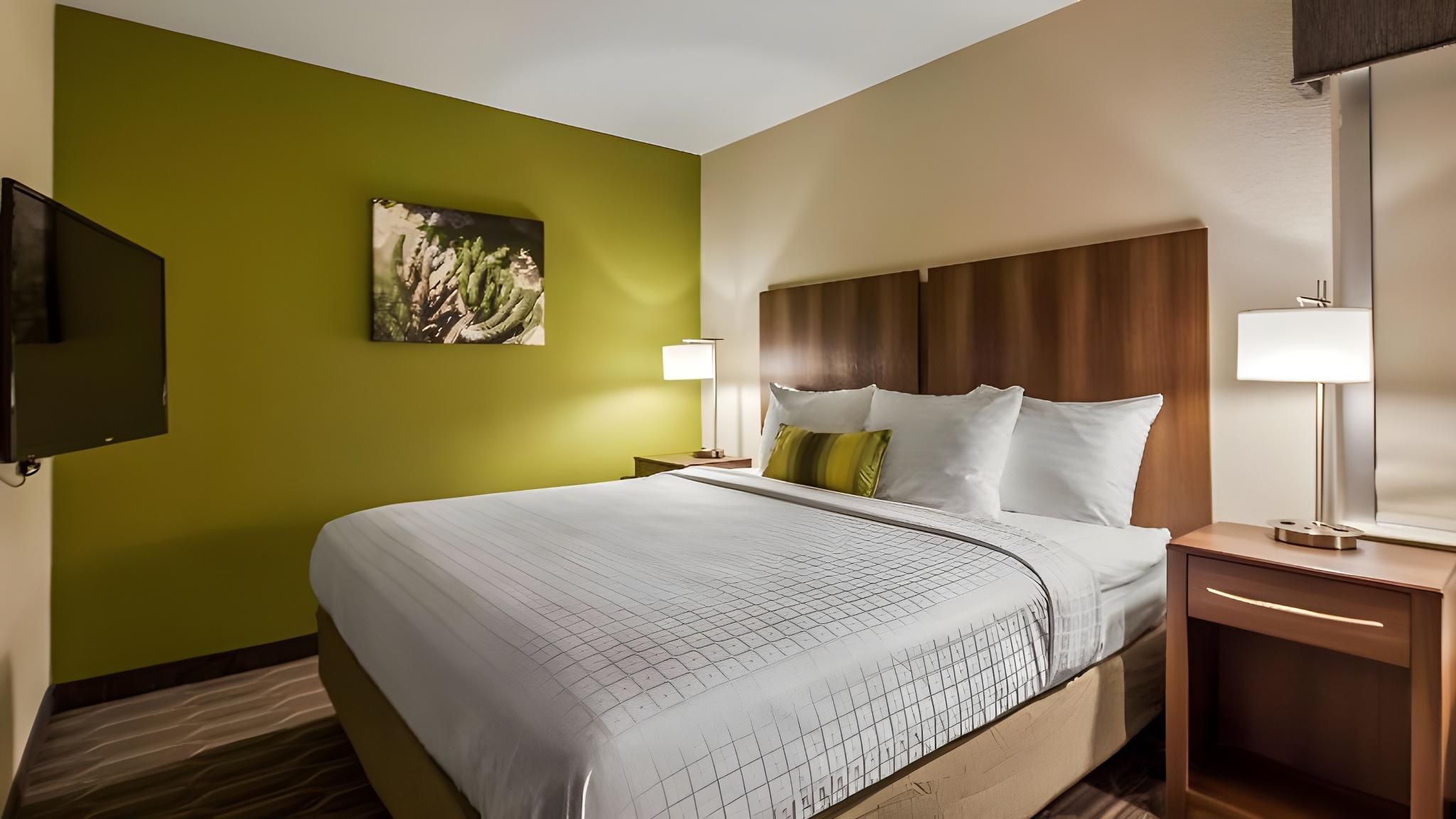 Best Western North Phoenix Hotel Accessibility - 1 King, Roll-in Shower, Nonsmoking 2