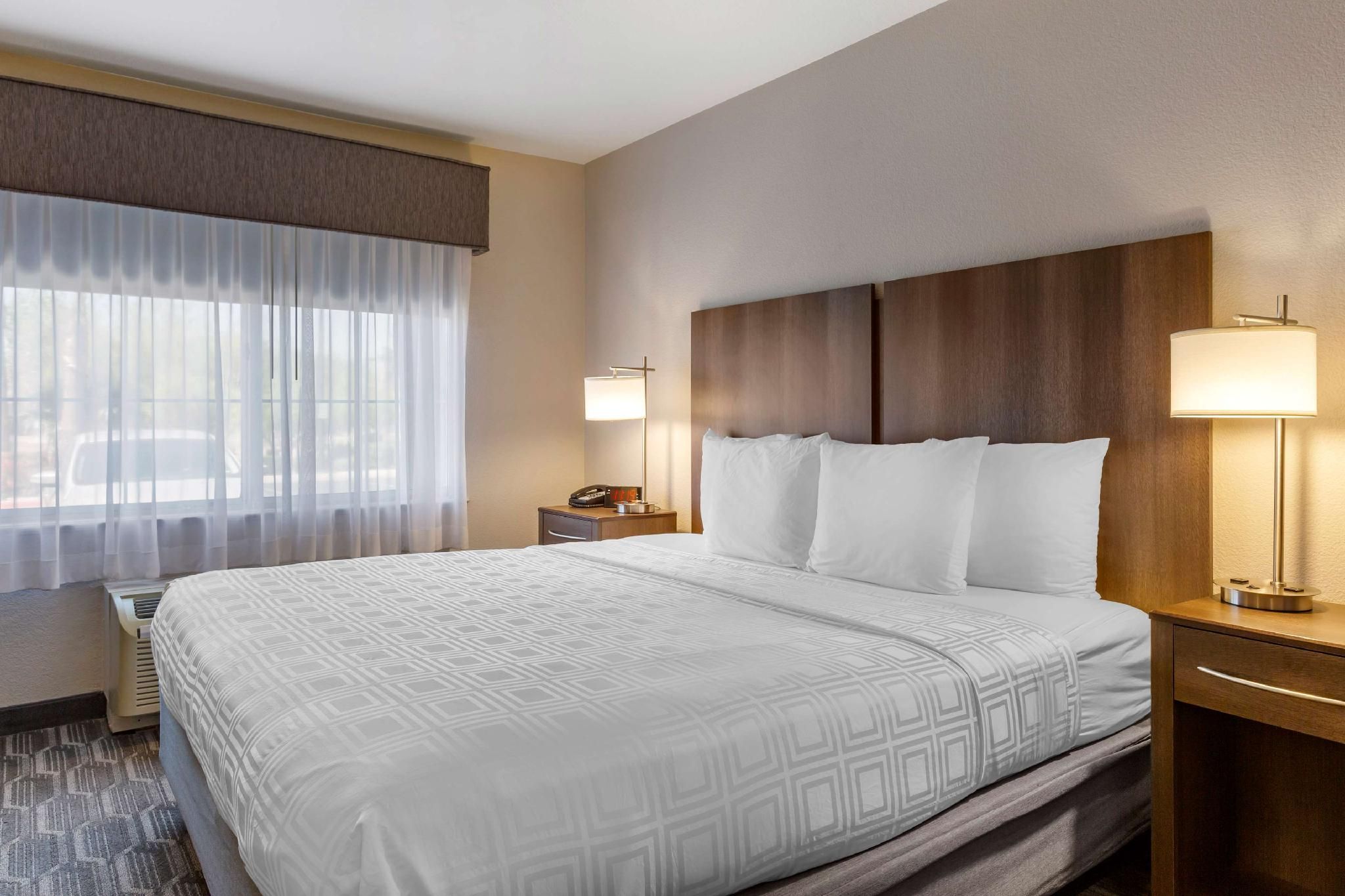 1 King Bed, Non-Smoking, Pet Friendly Room, Kitchenette, Work Desk, Microwave And Refrigerator, Wi-F