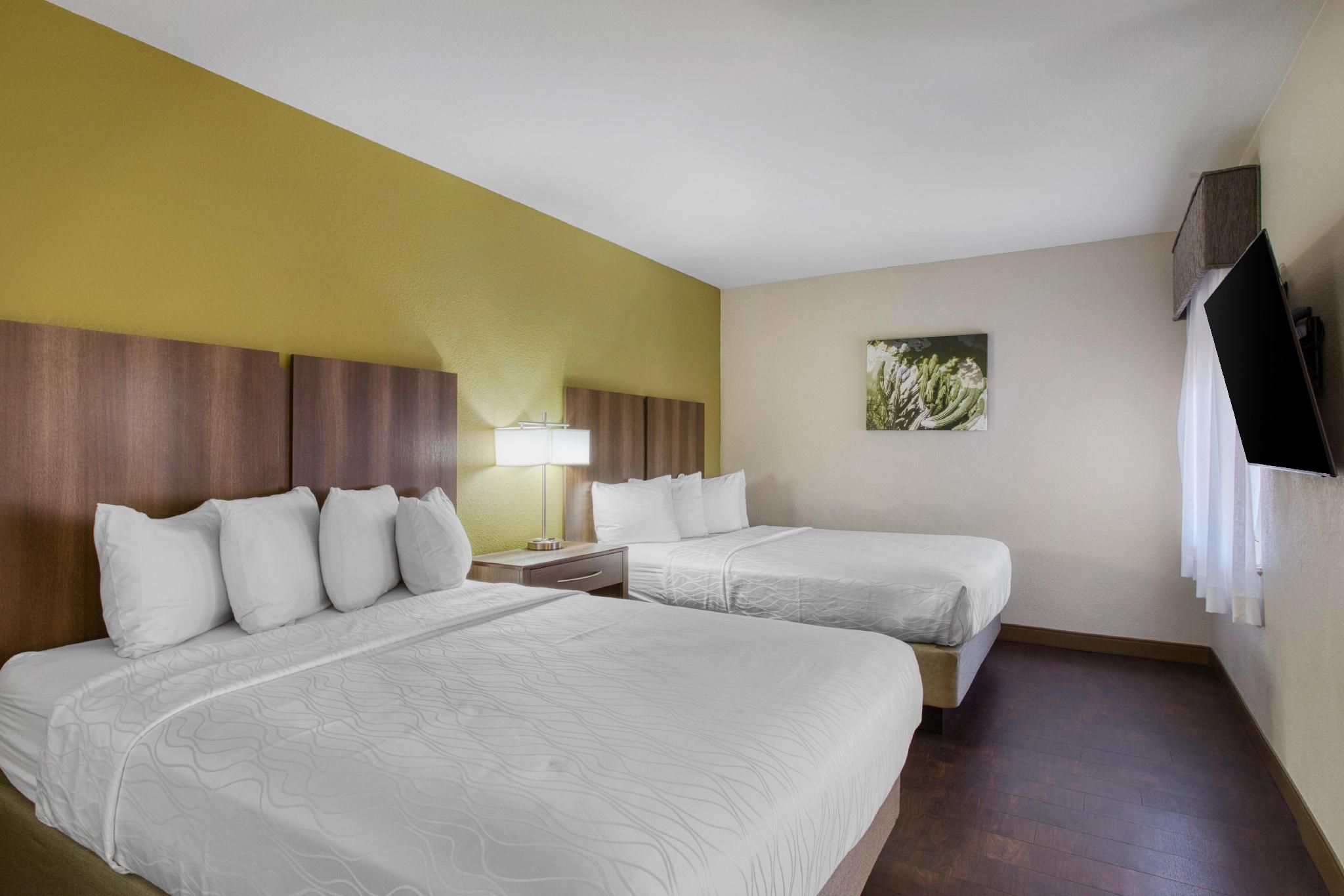 Accessibility - 2 Queens, Roll-in Shower, Pet Friendly Room, Nonsmoking