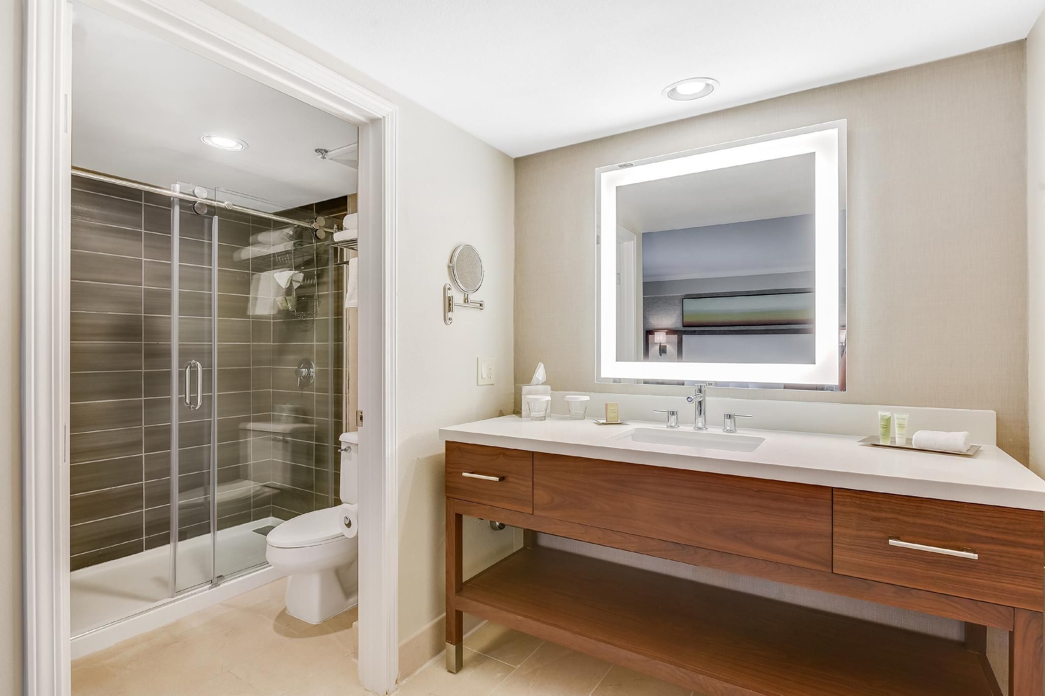 Ambassador 1 King 1 Bedroom Suite