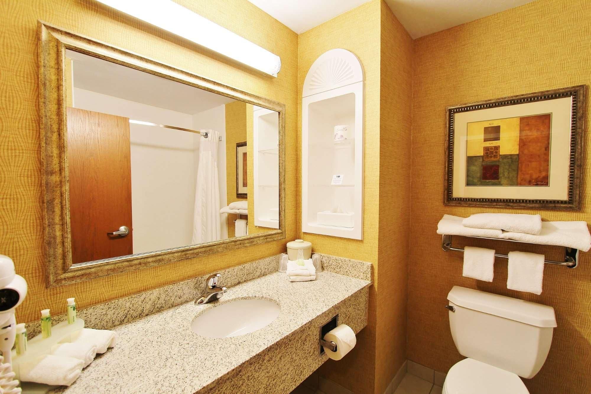 King Suite With Pull Out Sofa