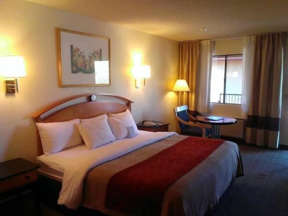 Room, 1 King Bed, Non Smoking