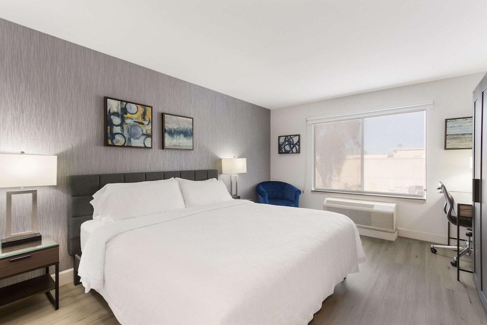 Standard Room, 1 King Bed, Patio