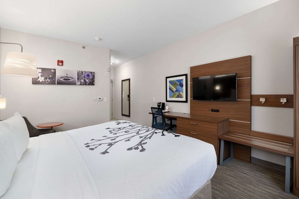 Room, 1 King Bed, Accessible, Non Smoking (Roll-In Shower)