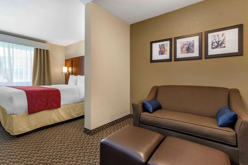 Suite, 1 King Bed with Sofa bed, Non Smoking, Microwave