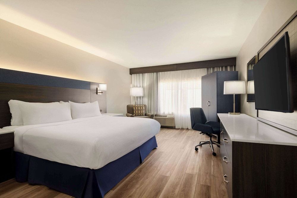 Room, 1 King Bed, Non Smoking