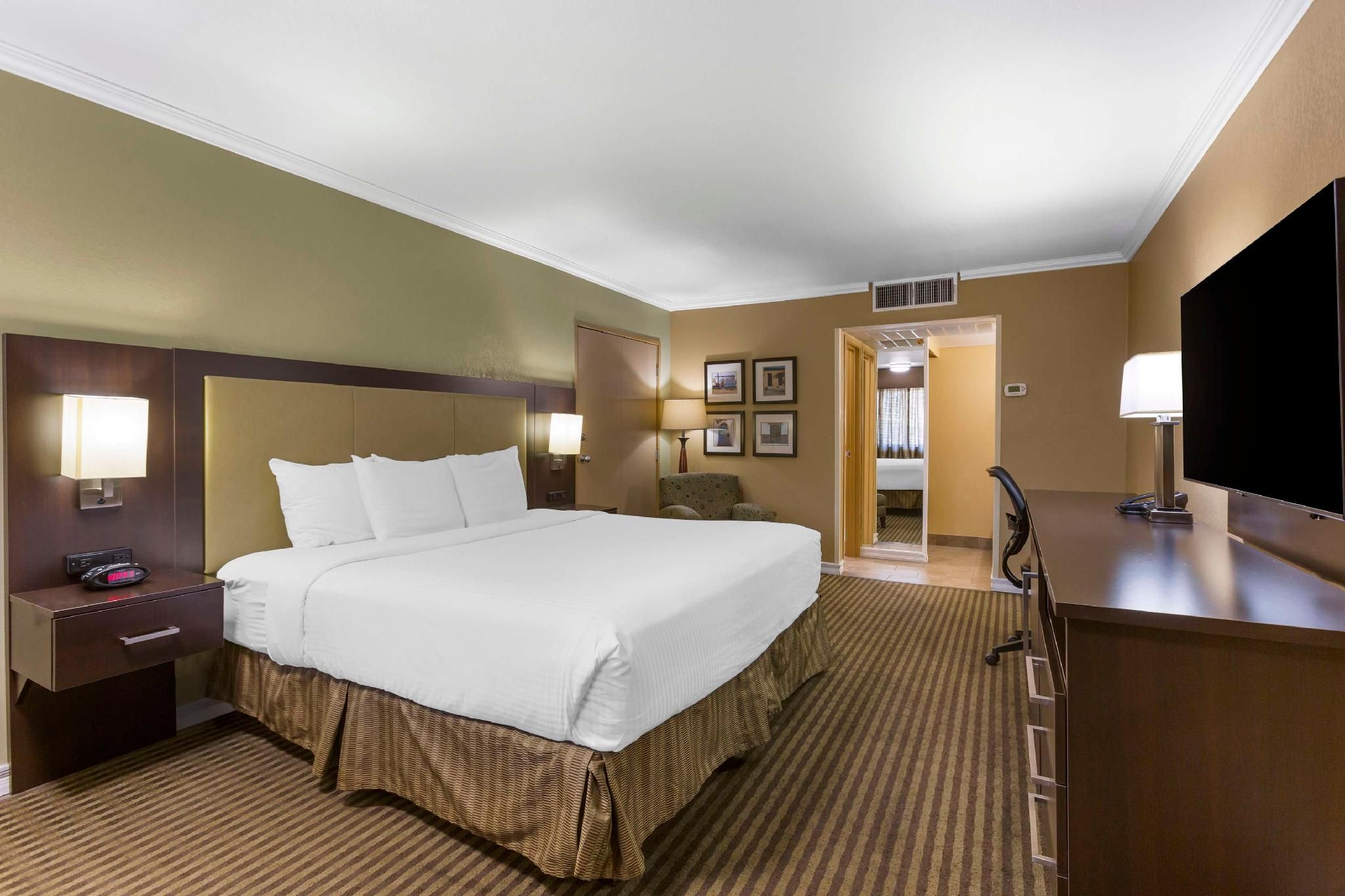 Accessibility - 1 King, Walk-in Shower, Nonsmoking