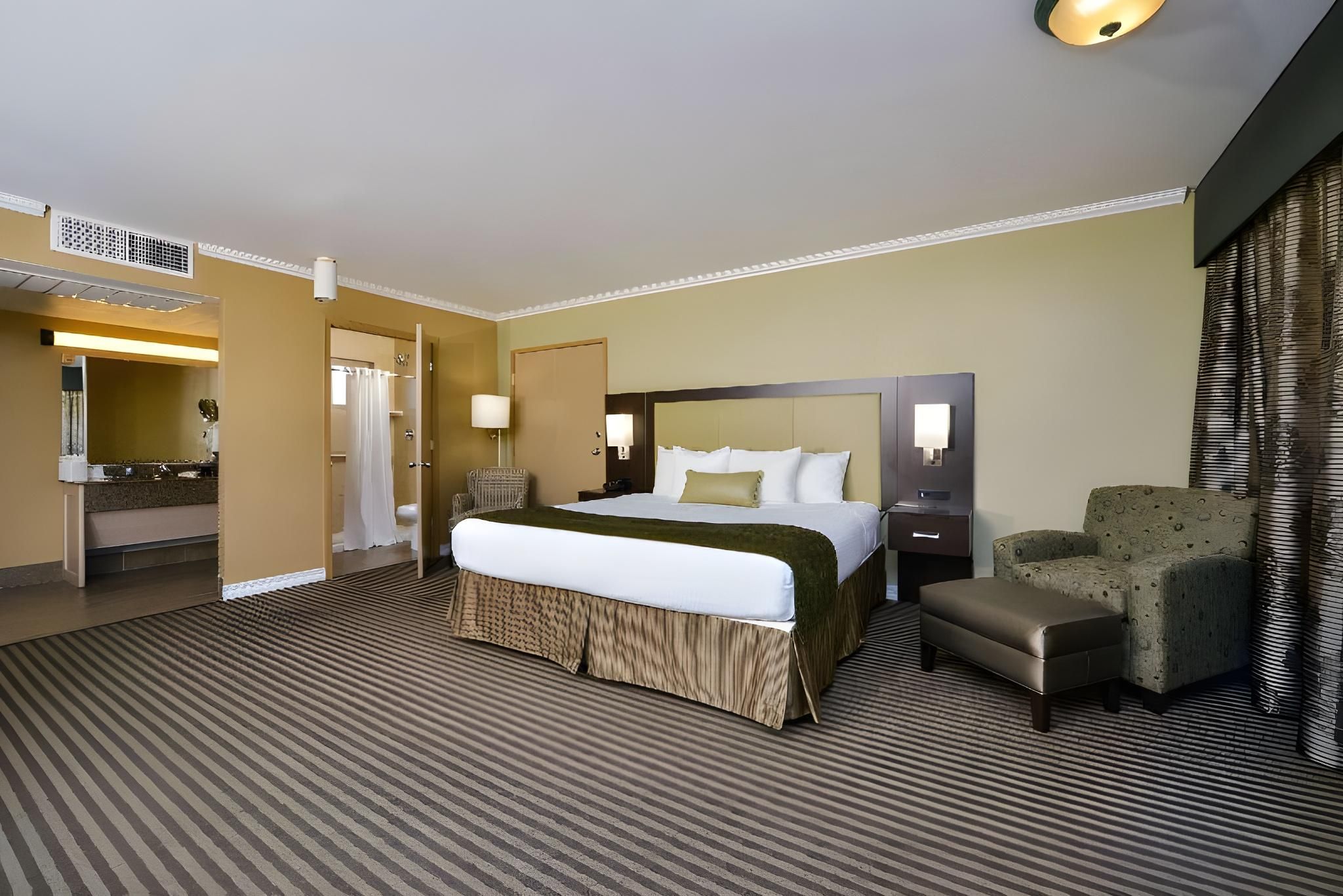 Accessibility - Suite King Bed, Roll-in Shower, Nonsmoking