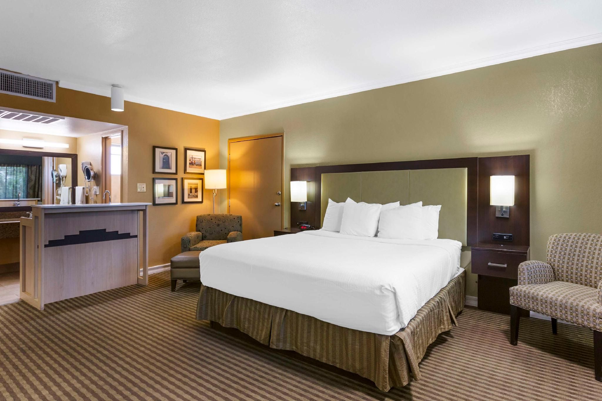 Accessibility - Suite King Bed, Roll-in Shower, Nonsmoking