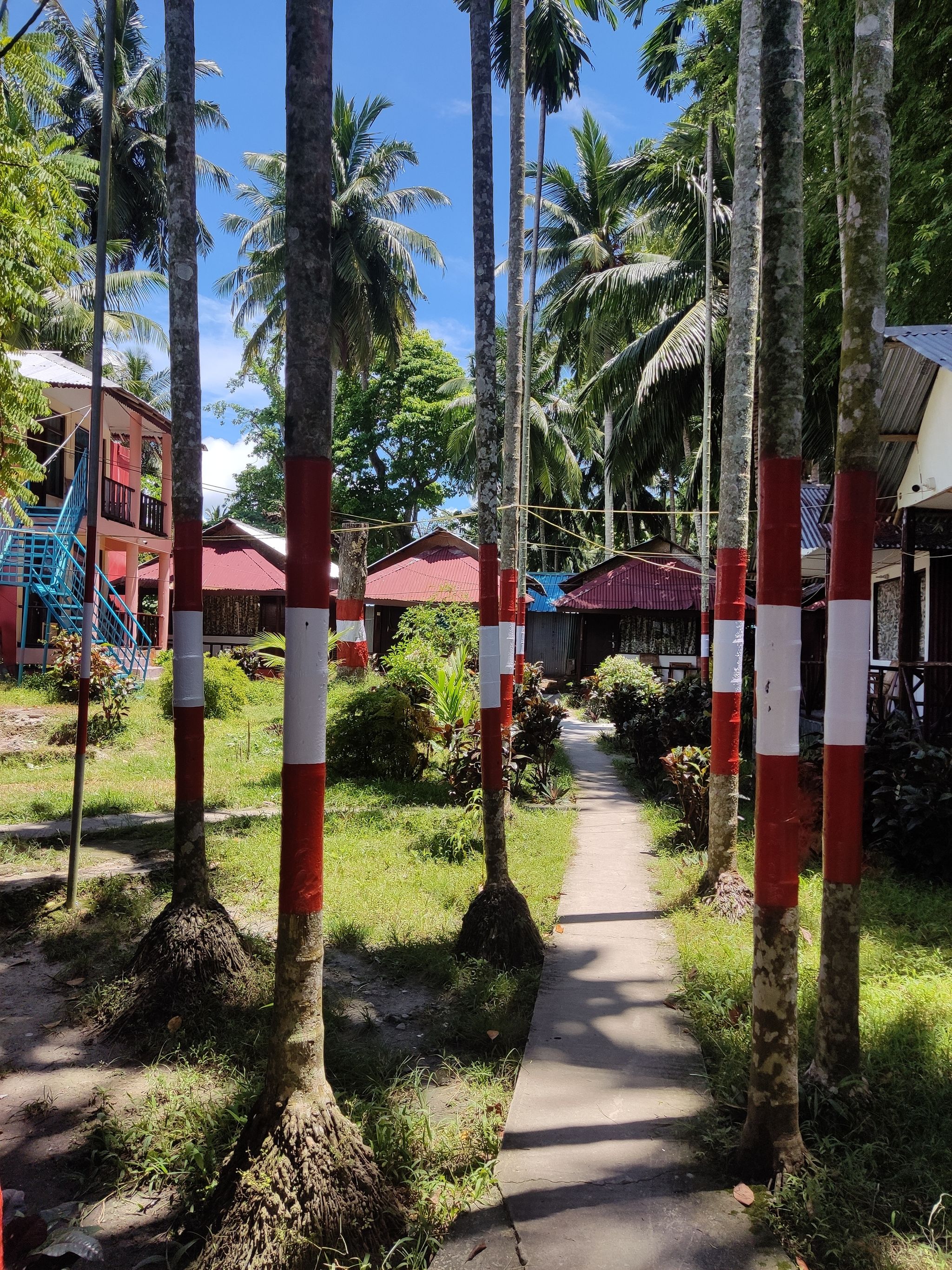 undefined Pano Eco Resort 7