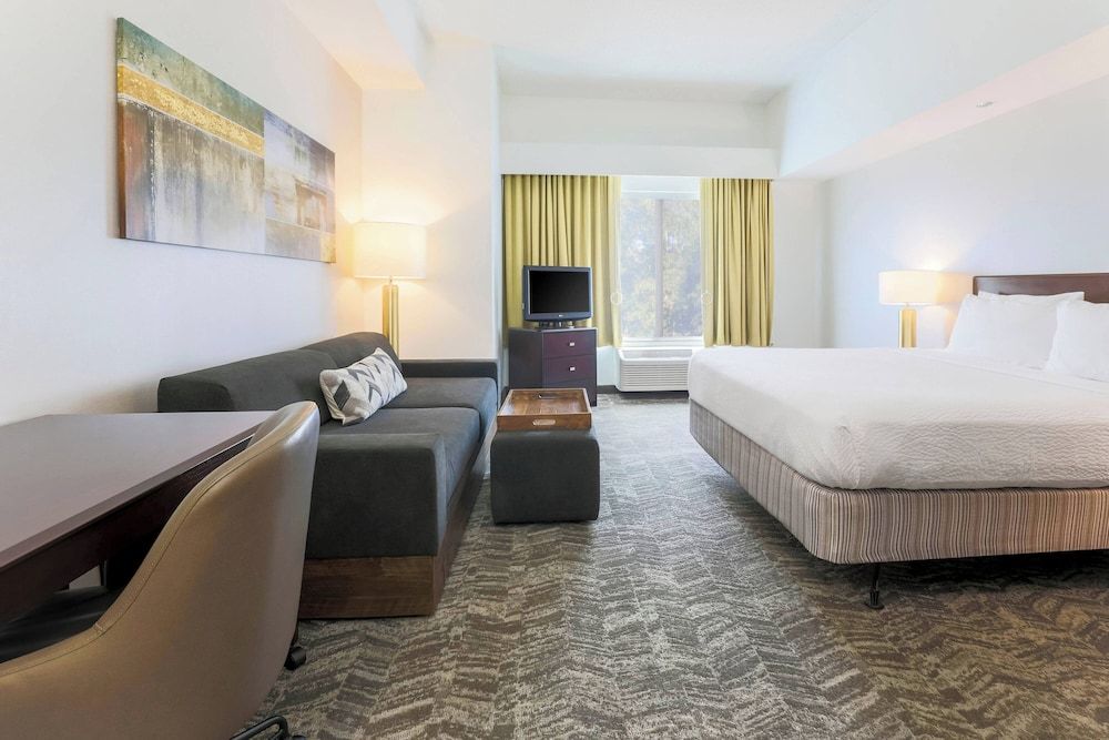 Suite, 1 King Bed with Sofa bed, Non Smoking (Mobility Accessible, Roll-In Shower)