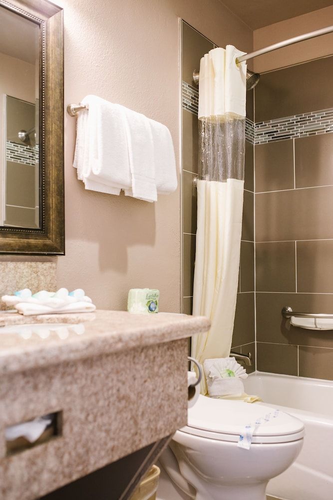 Alamo Inn & Suites Standard Room, 1 Queen Bed 4