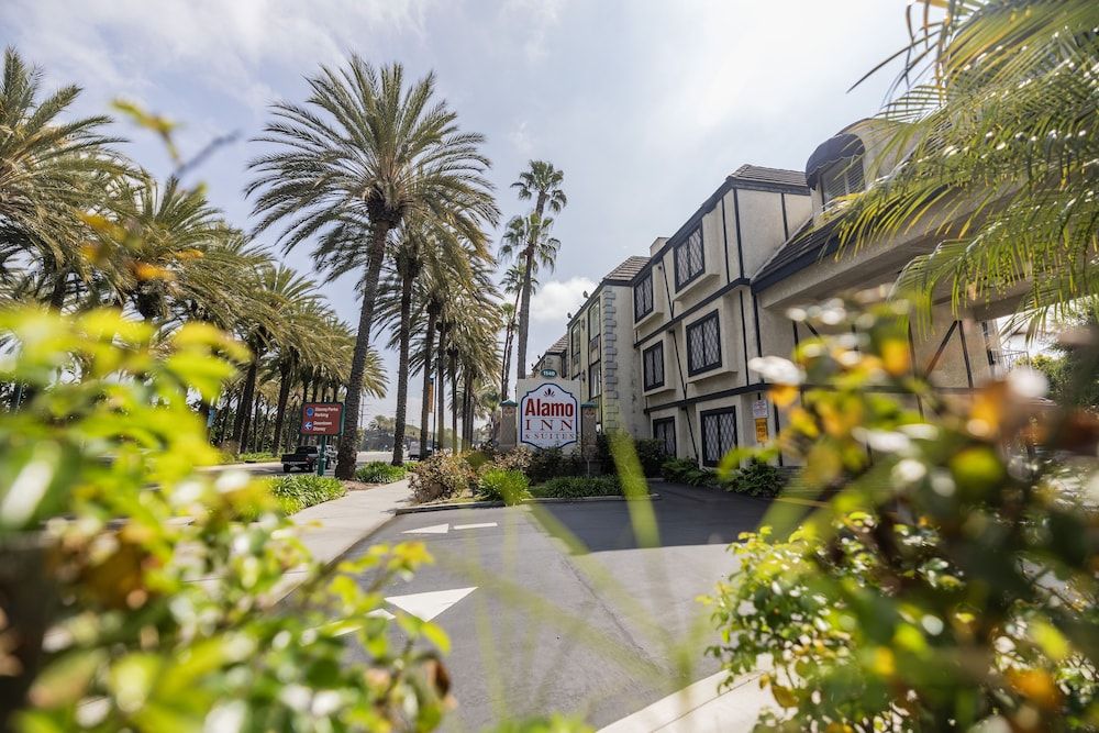 undefined Alamo Inn & Suites 9