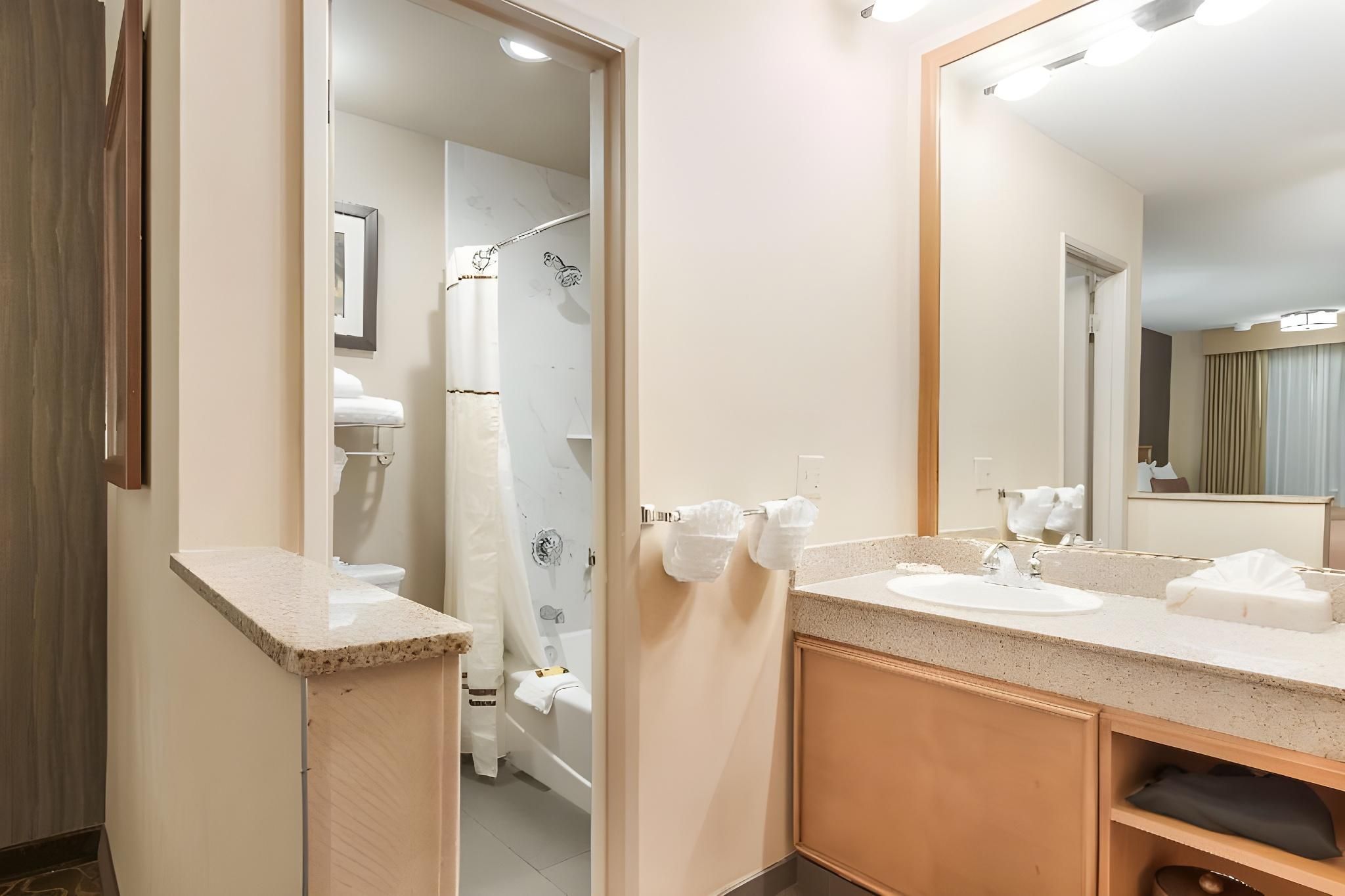 1 King Bed, Nonsmoking, Duvet, Shower Only