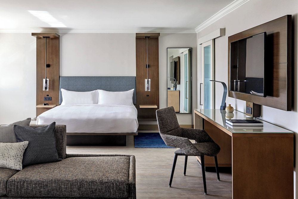 Studio Suite, 1 King Bed with Sofa bed (Mobility/Hearing Access, Roll-In Shwr)