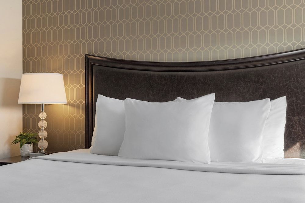 Peacock Suites Suite, 1 King Bed 2