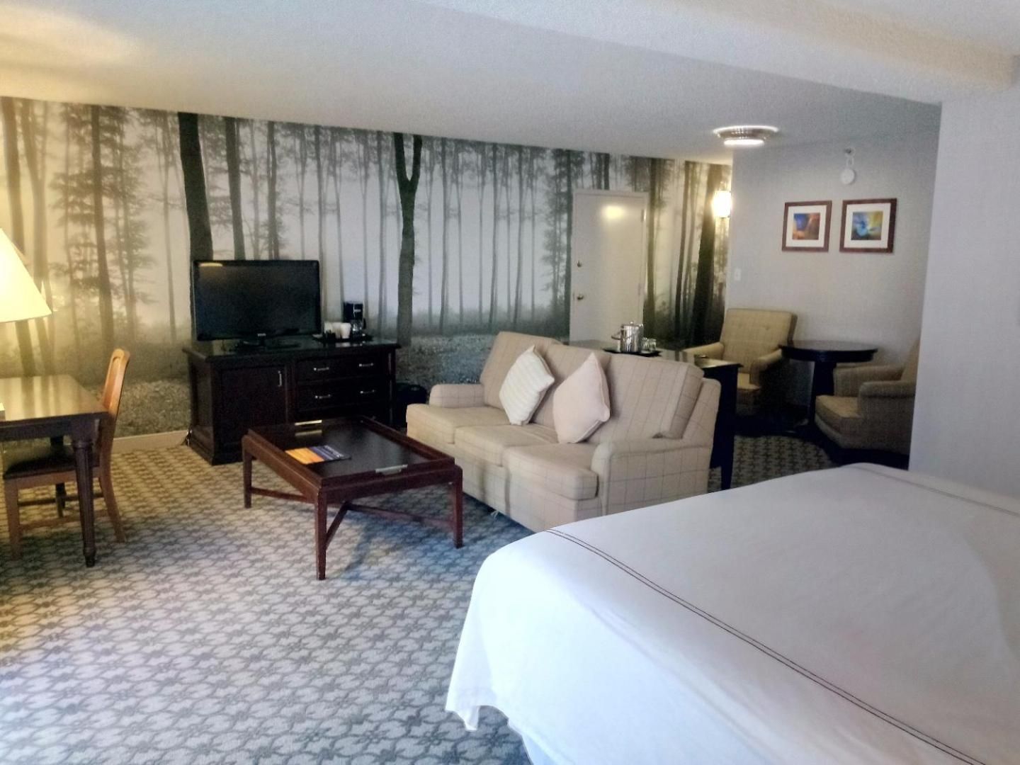 Garden Tower Junior King Suite With Sofa Sleeper