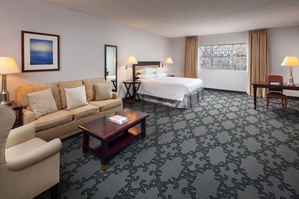 Junior King Suite with Sofa Sleeper