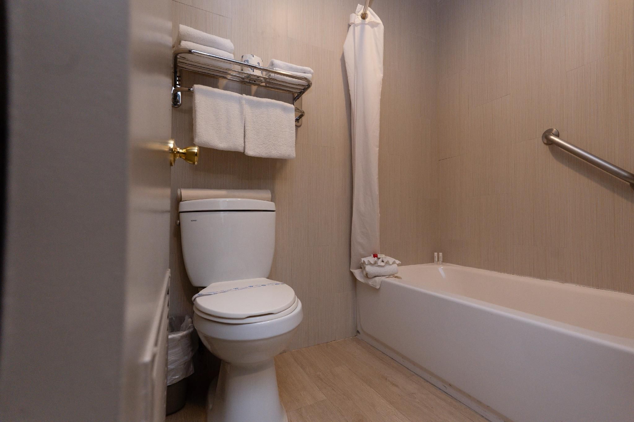 1 King Bed Non-Smoking