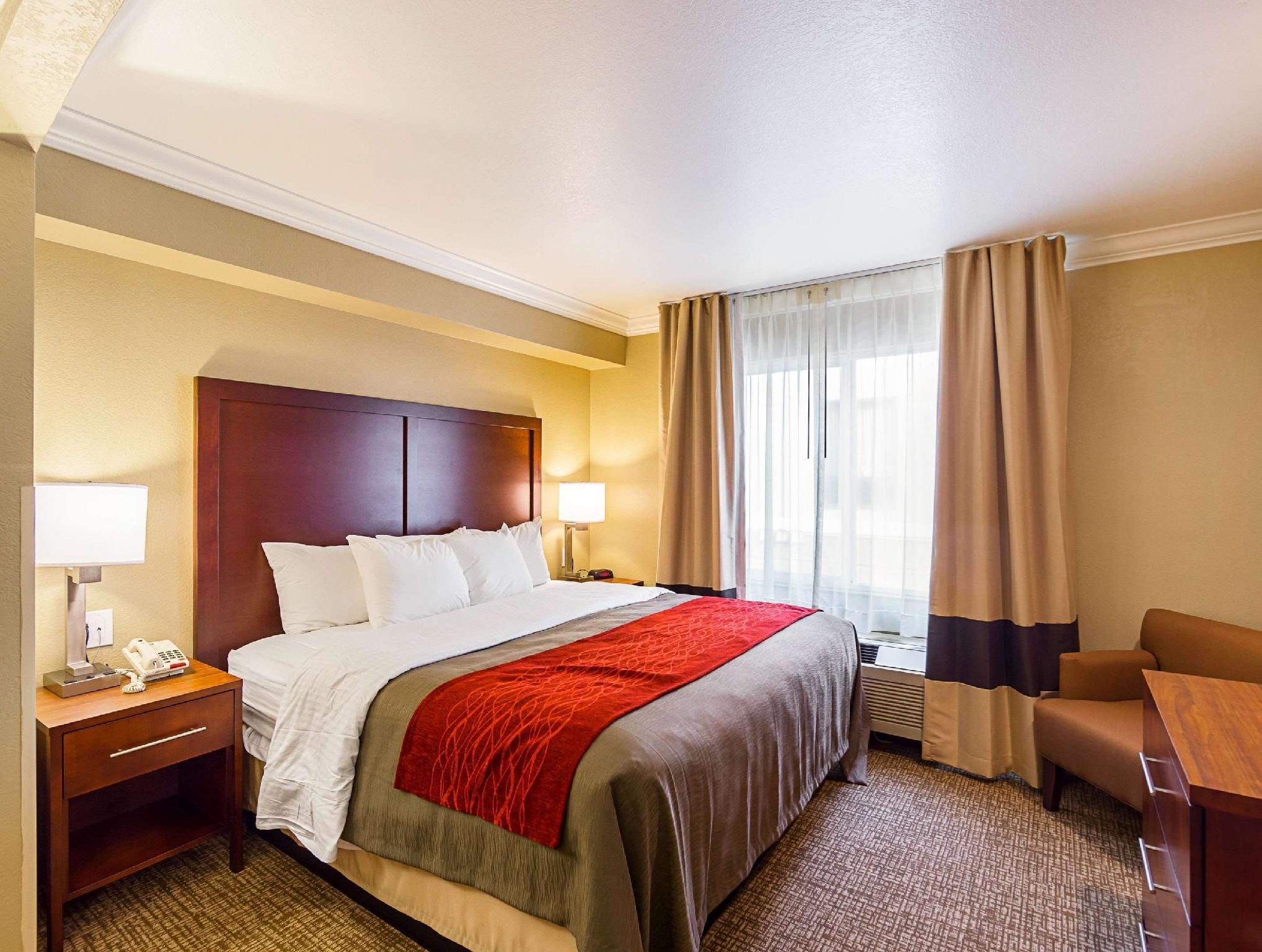 1 King Bed, Suite, Nonsmoking