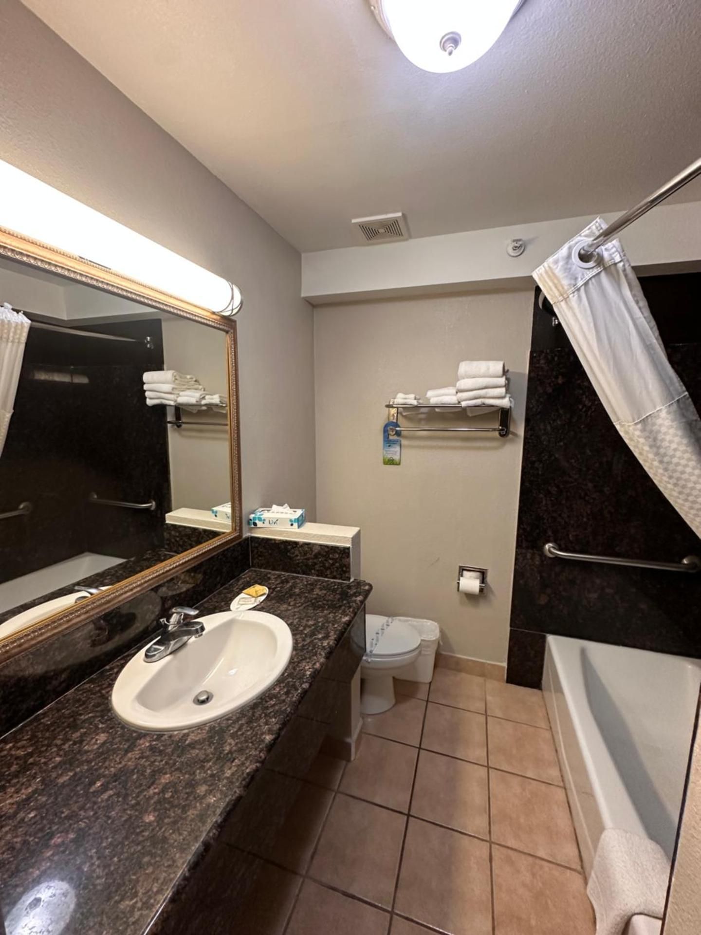 1 King Bed Studio Suite Non-Smoking
