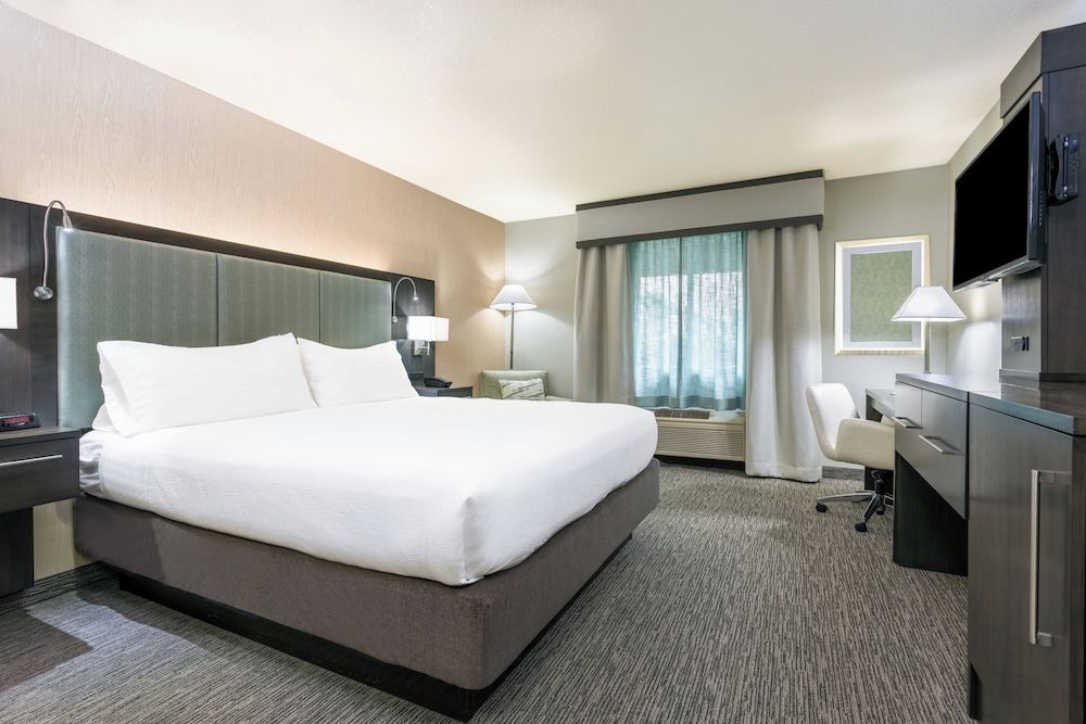 Standard Room, 1 King Bed, Accessible, Non Smoking (Comm, Roll Shwr)