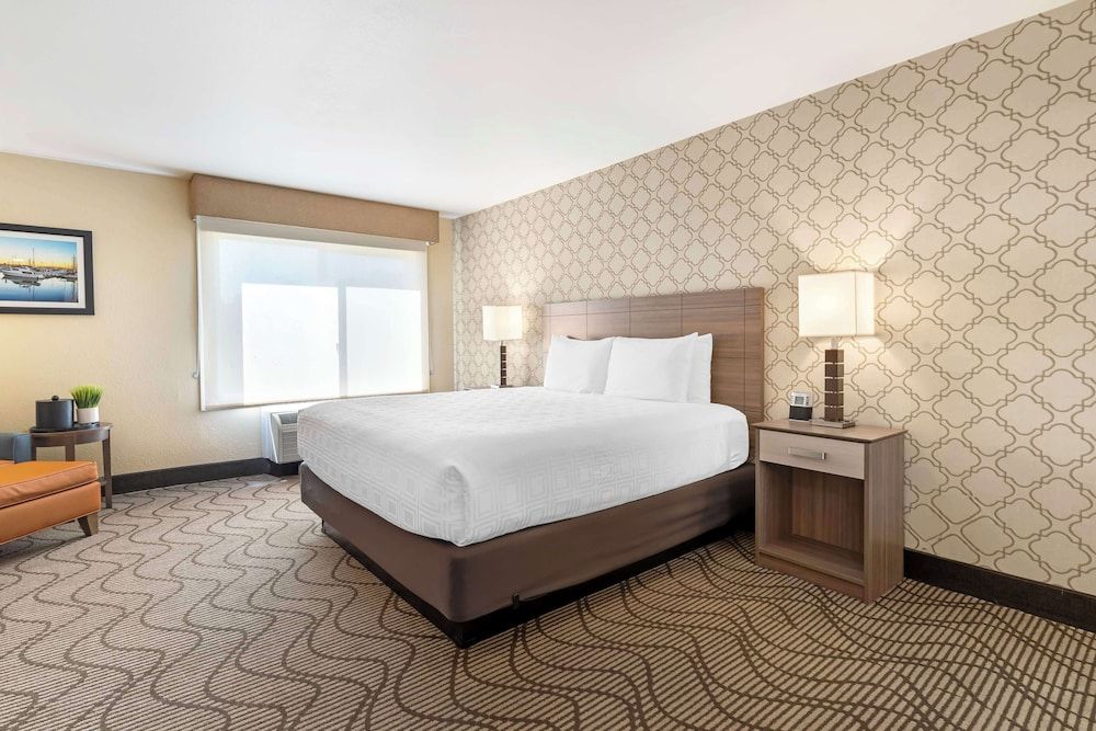 Standard Room, 1 King Bed, Non Smoking, Refrigerator & Microwave