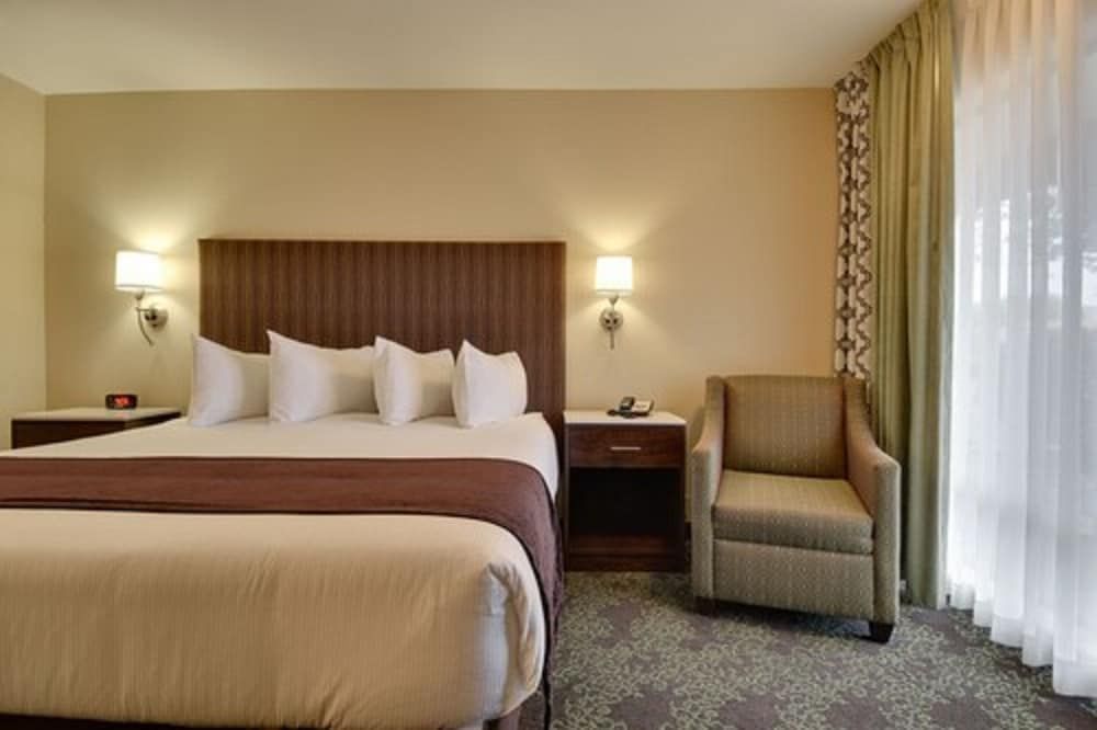 Single Room, 1 King Bed, Accessible