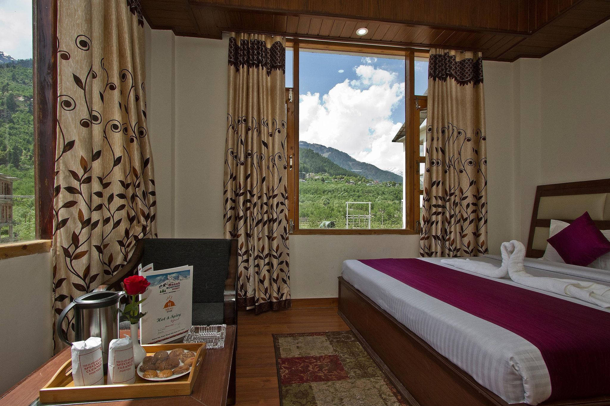 Manali Mountain Regency DELUXE ROOM (WITHOUT BALCONY) 8