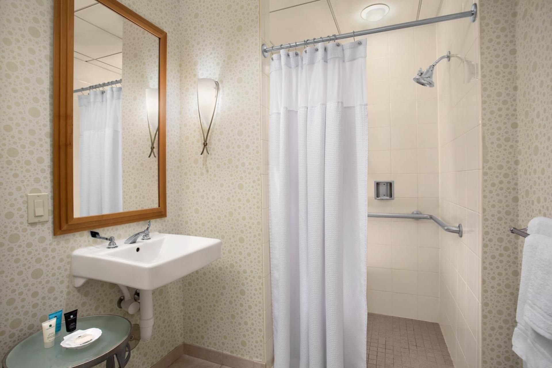 1 King Standard Mobility Accessible Roll Shower