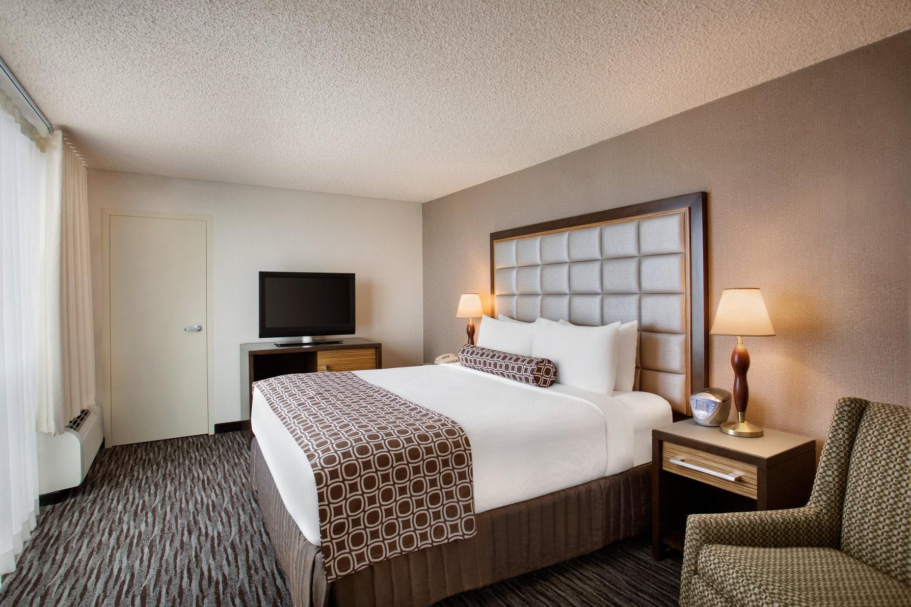 1 King Bed 1 Bedroom Suite