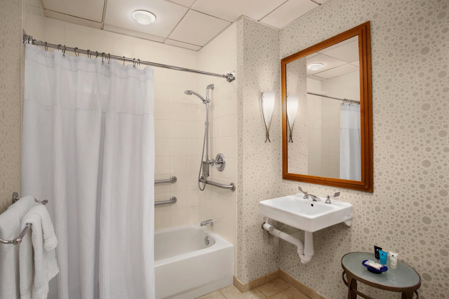 1 King Bed Standard Mobility Accessible Tub