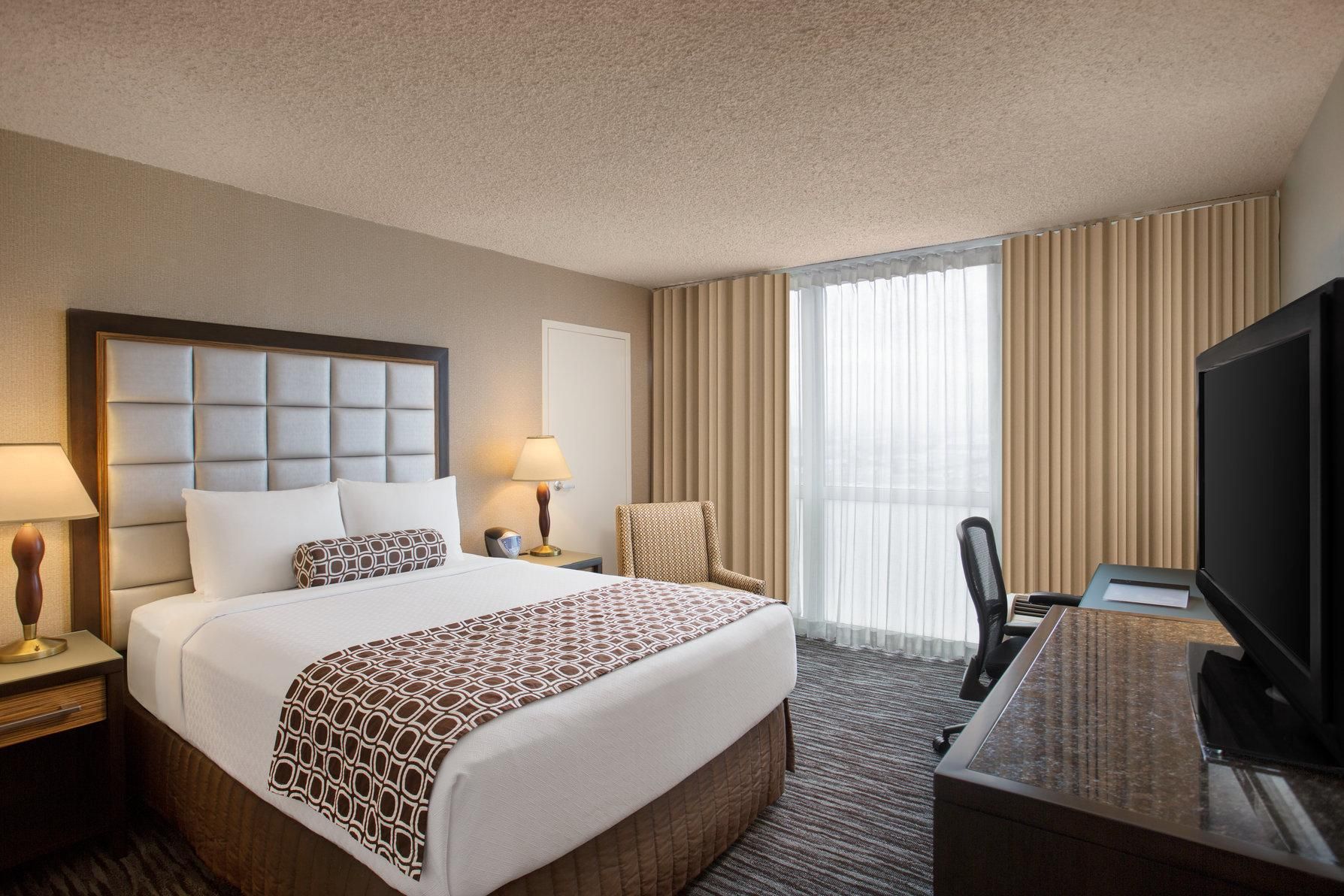 1 Queen Bed Premium