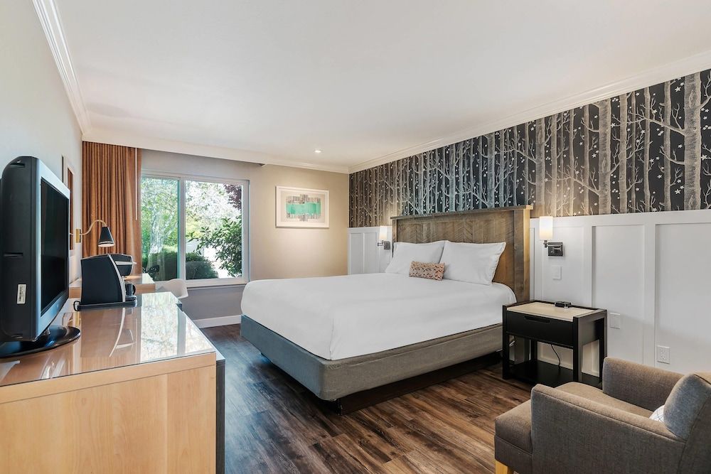 Room, 1 King Bed, Accessible, Non Smoking