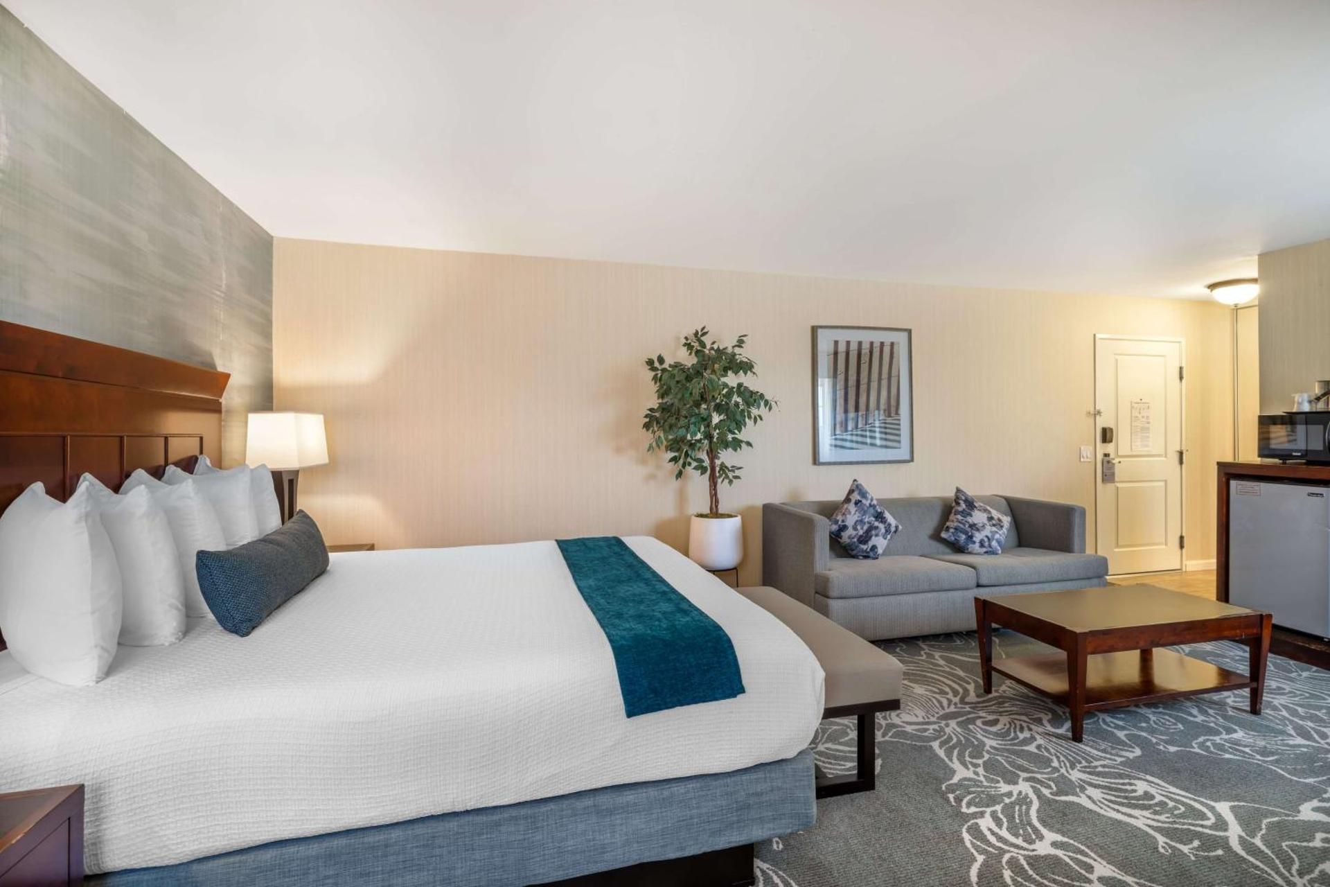 Suite - 1 King Bed, Nonsmoking, Sofabed, Oversized Room