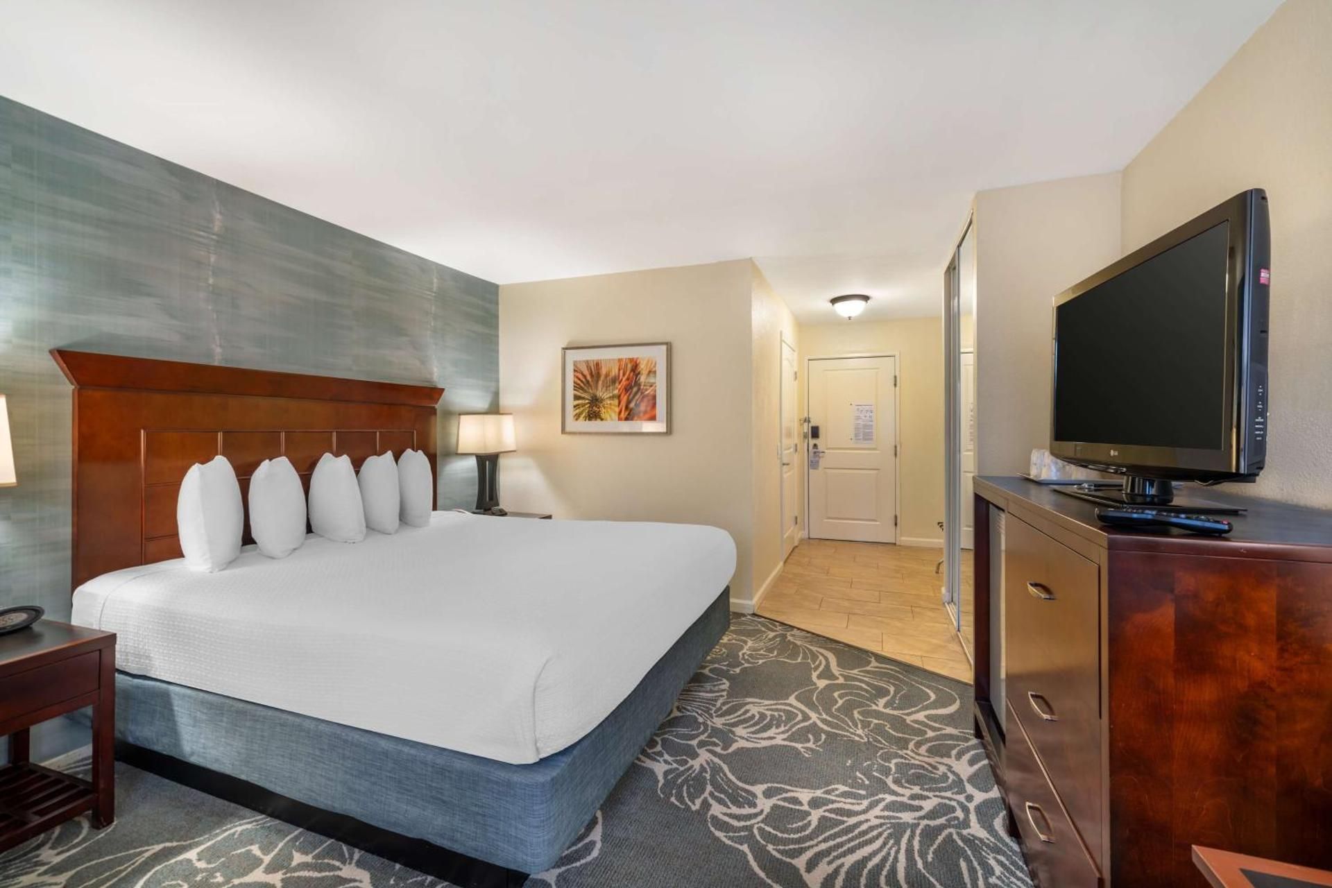 Accessibility - 1 King Bed, Roll-in Shower, Nonsmoking