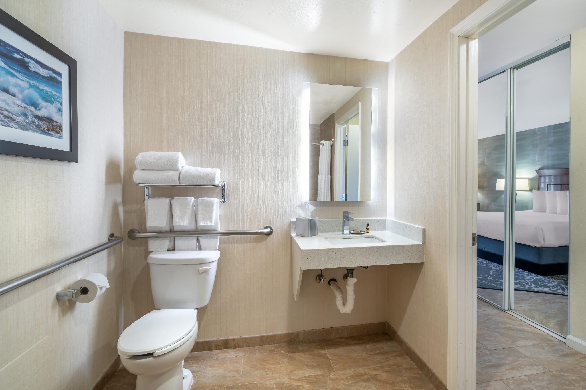 Accessibility - 1 King Bed, Bathtub, Nonsmoking