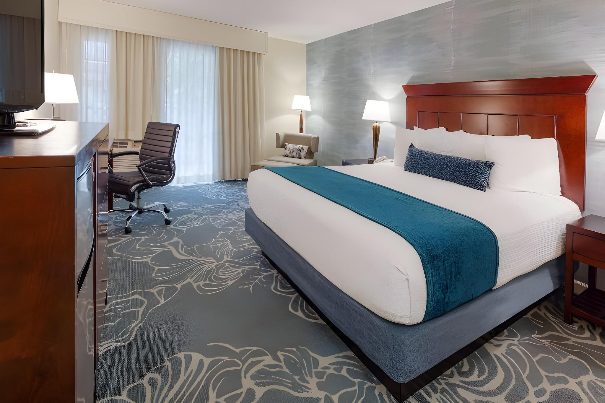 Accessibility - 1 King Bed, Bathtub, Nonsmoking