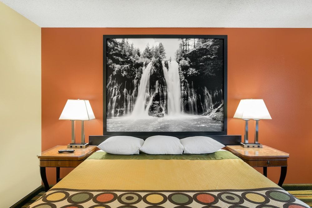 Room, 1 King Bed