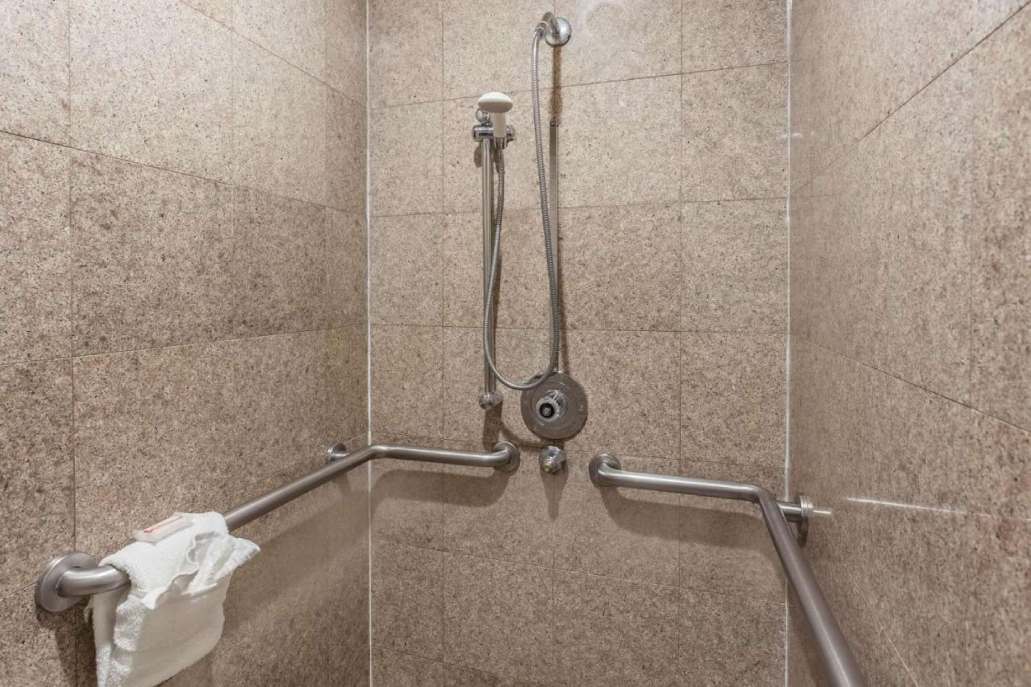 Accessibility - 1 Queen, Roll-in Shower, Nonsmoking