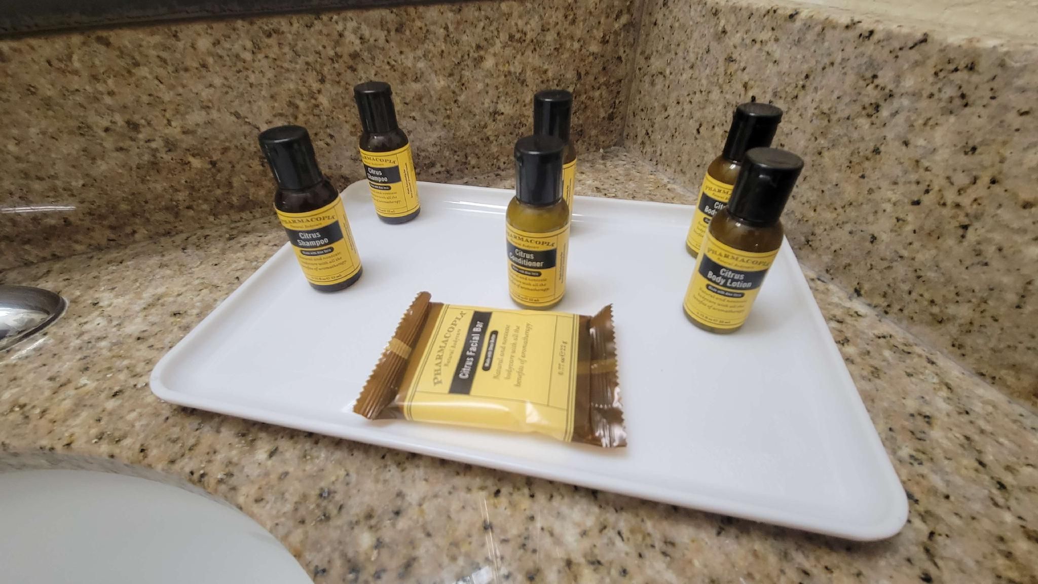 Accessibility - 1 Queen, Roll-in Shower, Nonsmoking