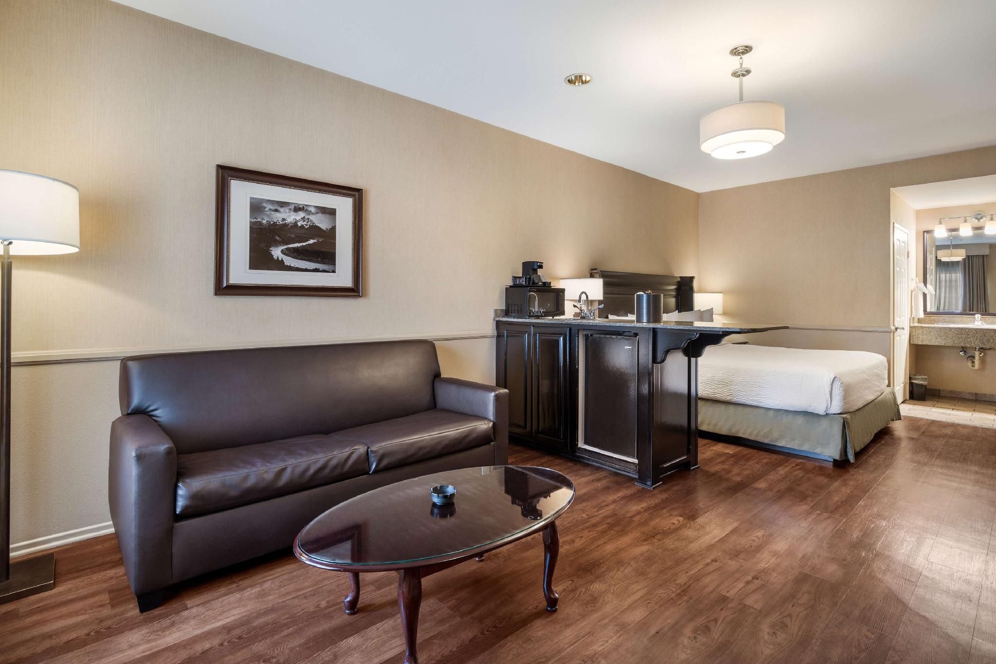 Suite - 1 King Bed, Nonsmoking, Sofabed