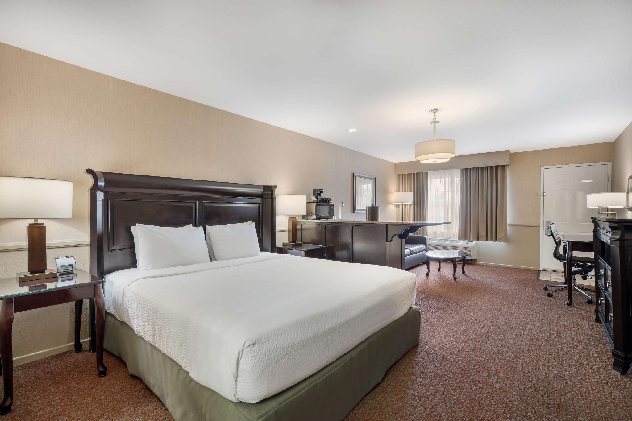 Suite - 1 King Bed, Nonsmoking, Sofabed