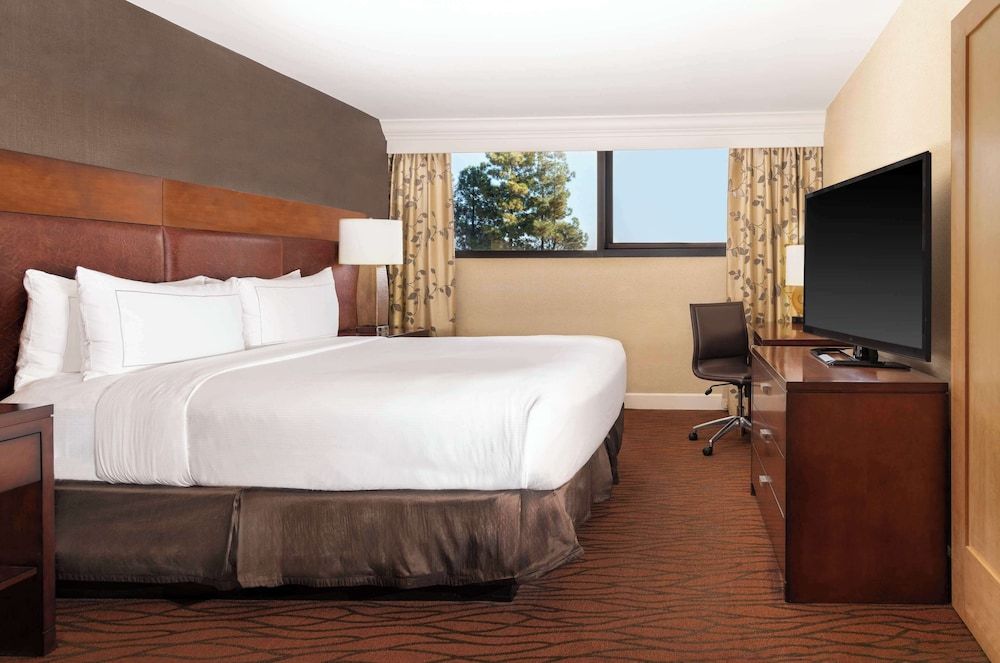 Suite, 1 King Bed (Conference)
